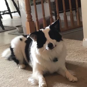 Meet your Posher, Rebekah